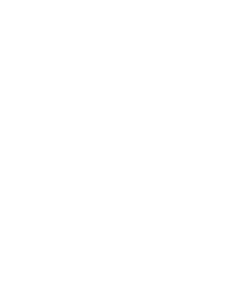 Slim Skin